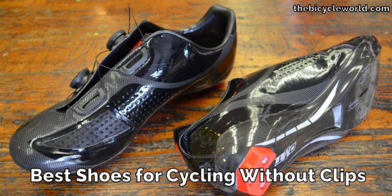 Best Shoes for Cycling Without Clips