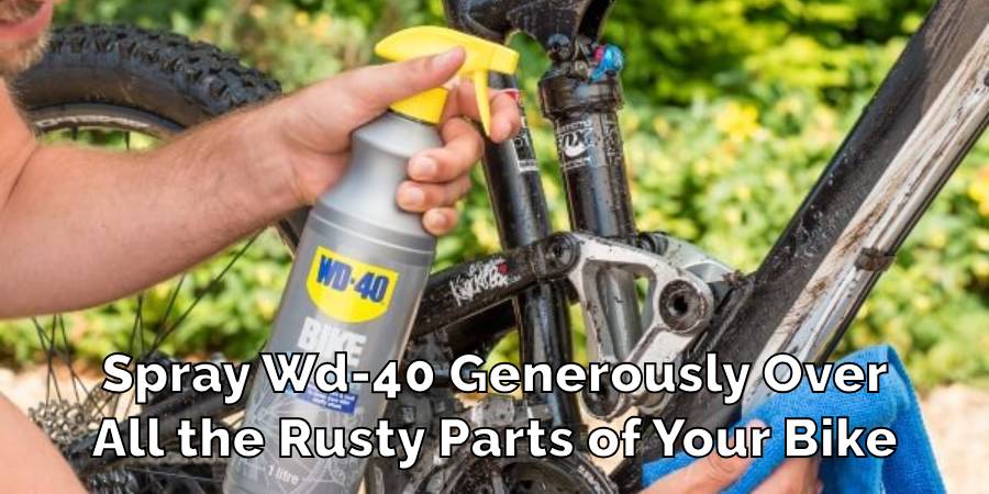 Spray Wd-40 Generously Over All the Rusty Parts of Your Bike