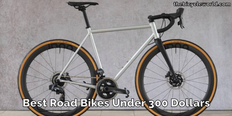 Best Road Bikes Under 300 Dollars