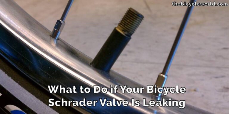 What to Do if Your Bicycle Schrader Valve Is Leaking