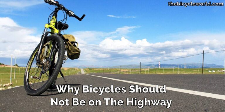 Why Bicycles Should Not Be on The Highway